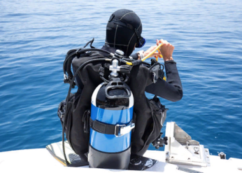 Как выбрать снаряжение для дайвинга и советы