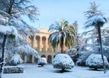 Как провести новогодние каникулы в Абхазии и советы