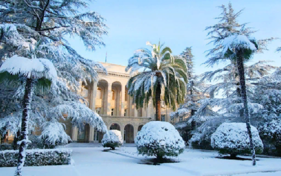 Как провести новогодние каникулы в Абхазии и советы