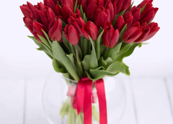 Оформляем букет цветов из тюльпанов и их сочетание