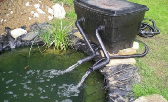 Фильтры для пруда: требования и правила монтажа