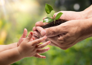 Как зарегистрировать благотворительный фонд в Украине?