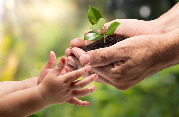 Как зарегистрировать благотворительный фонд в Украине?