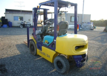 Главное назначение и применение вилочных погрузчиков