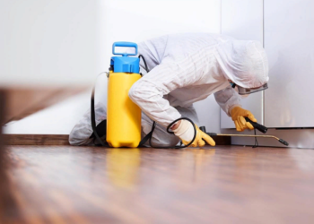 Какие требования выдвигают к дезинфекции помещений