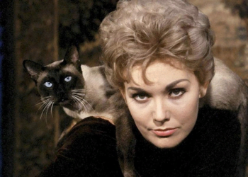 Знакомимся с подборкой лучших фильмов про ведьм