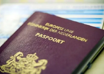 Способы и правила получения гражданства в Нидерландах