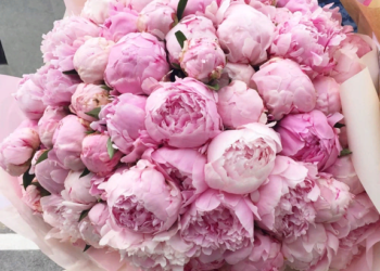 Идеи и правила оформления букетов и сочетание цветов с пионами