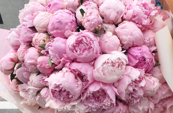 Идеи и правила оформления букетов и сочетание цветов с пионами