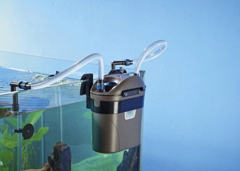 Особенности и советы по выбору фильтров для аквариума