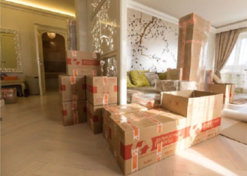 Идеи организации квартирного переезда и советы