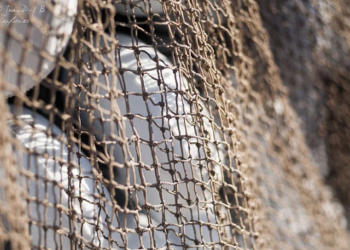 Что такое дели рыболовные ниточные узловые