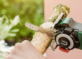 Где применяется цепная бензопила и ее достоинства