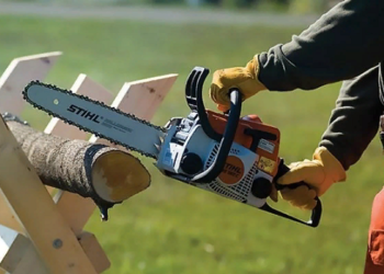 Какую бензопилу выбрать для дома и дачи