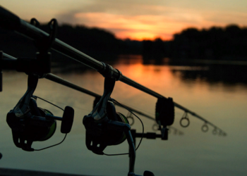 Что важно учитывать при организации ночной рыбалки?