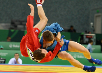 История создания и достоинства федерации по Самбо