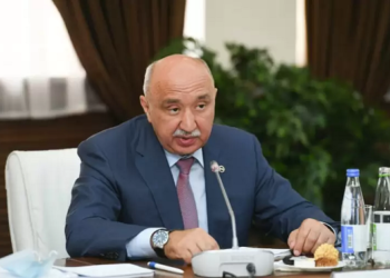 Ильшат Гафуров: биография, история деятельности и факты