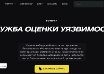 Что такое Vulnerability Assessment Testing Company и ее особенности