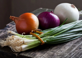 Вирощування цибулі з насіння: правила та декілька порад