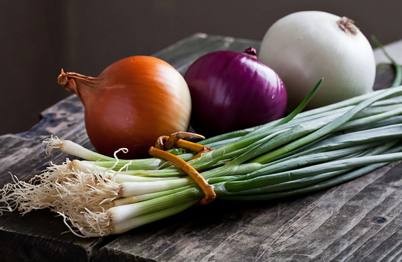 Вирощування цибулі з насіння: правила та декілька порад