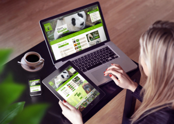 Розробка сайту: що потрібно знати та основні правила