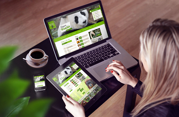 Розробка сайту: що потрібно знати та основні правила