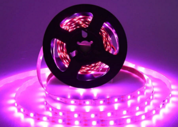 Выбор фитоленты: как сделать правильный выбор