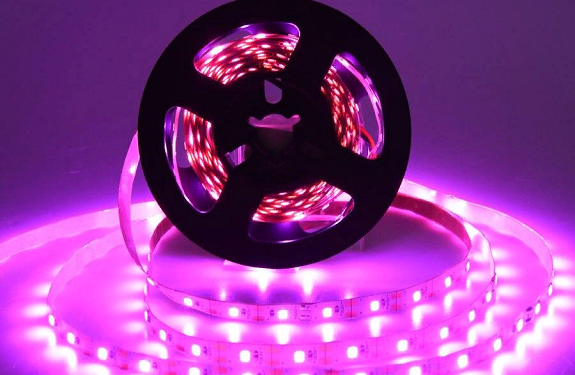 Выбор фитоленты: как сделать правильный выбор