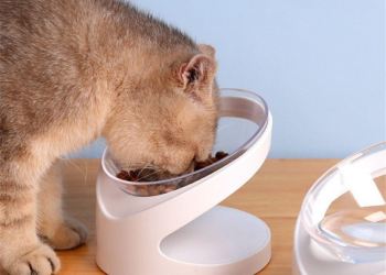 Эргономичные миски для котов: забота о комфорте и здоровье вашего питомца