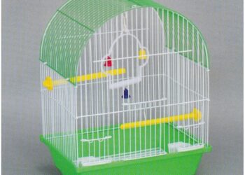 Необхідні аксесуари для клітки папуги: різновиди та вибір