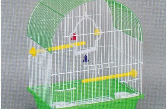 Необхідні аксесуари для клітки папуги: різновиди та вибір