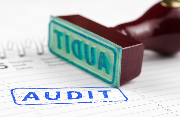 Проведення аудиту від професійних експертів та переваги