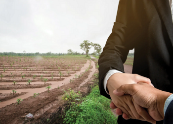 Как решаются земельные споры и их особенности