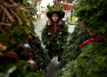 Новорічні традиції з ялинкою в різних країнах світу