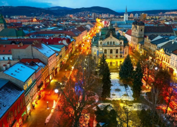 Форма А1 в Словакии: что это и как её получить