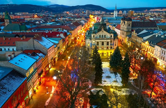 Форма А1 в Словакии: что это и как её получить