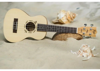 Подробности про музыкальный инструмент укулеле и достоинства