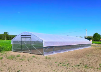 Теплица под пленку: почему она такая популярная