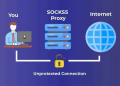 Прокси SOCKS5: что это как работает и чем отличается от HTTP прокси